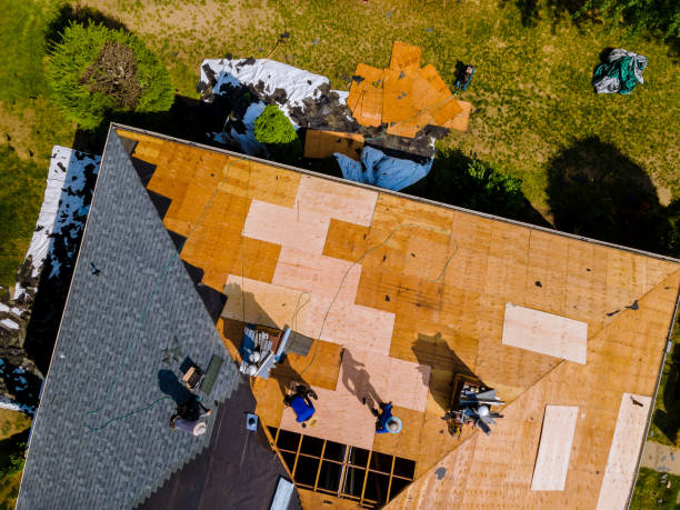 Best Flat Roof Repair Services  in Warsaw, IL