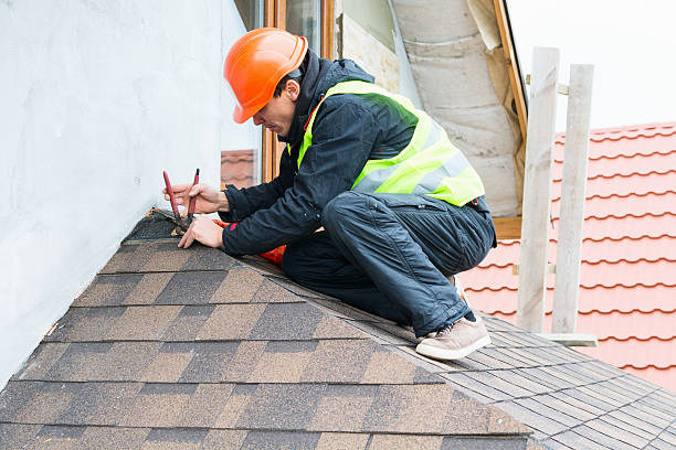 Best Roof Gutter Cleaning  in Warsaw, IL